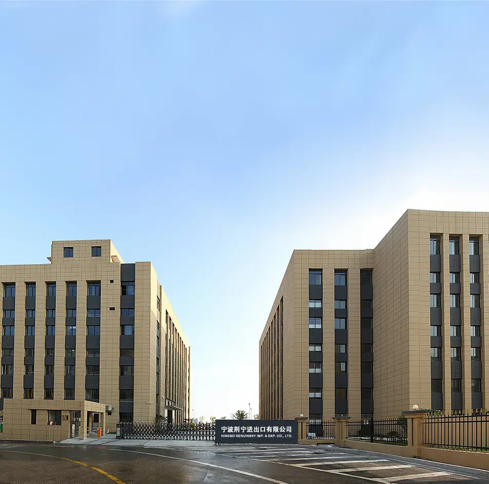 Meistä